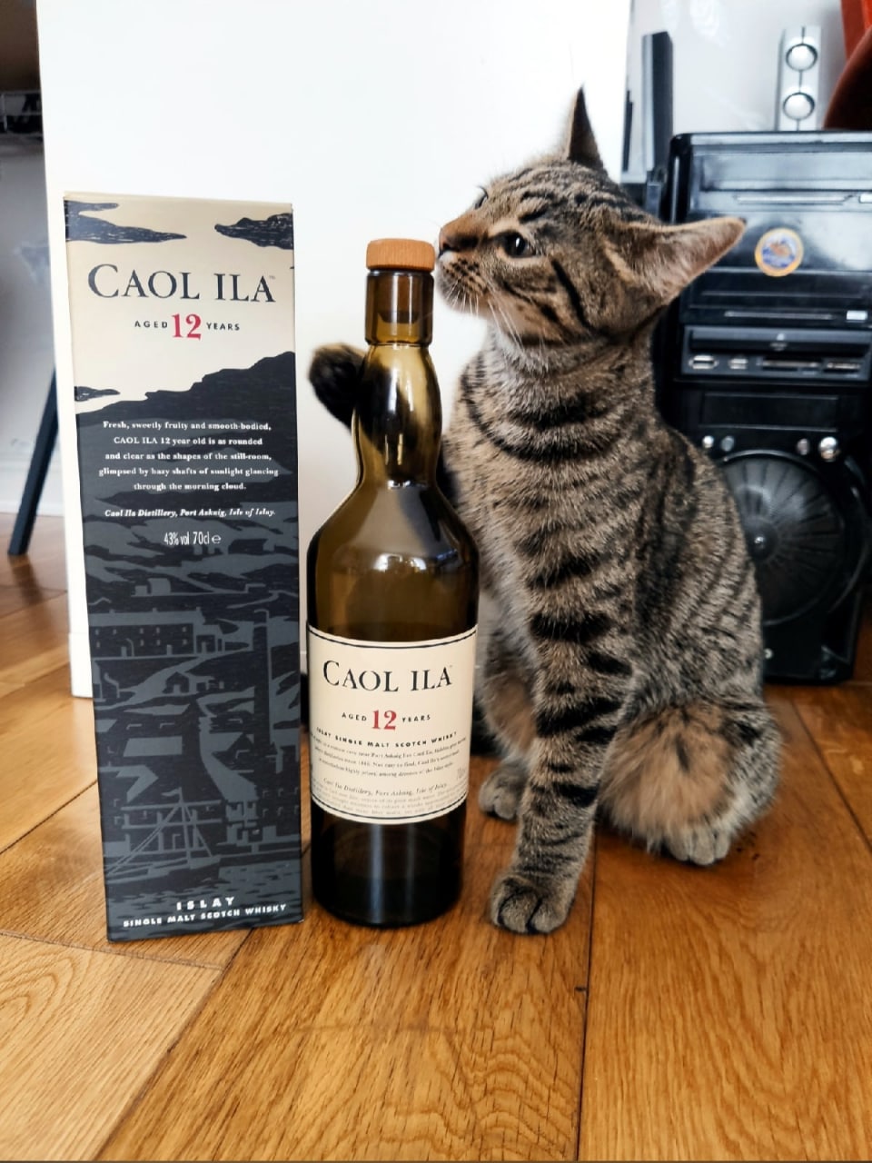 Caol Ila.jpg